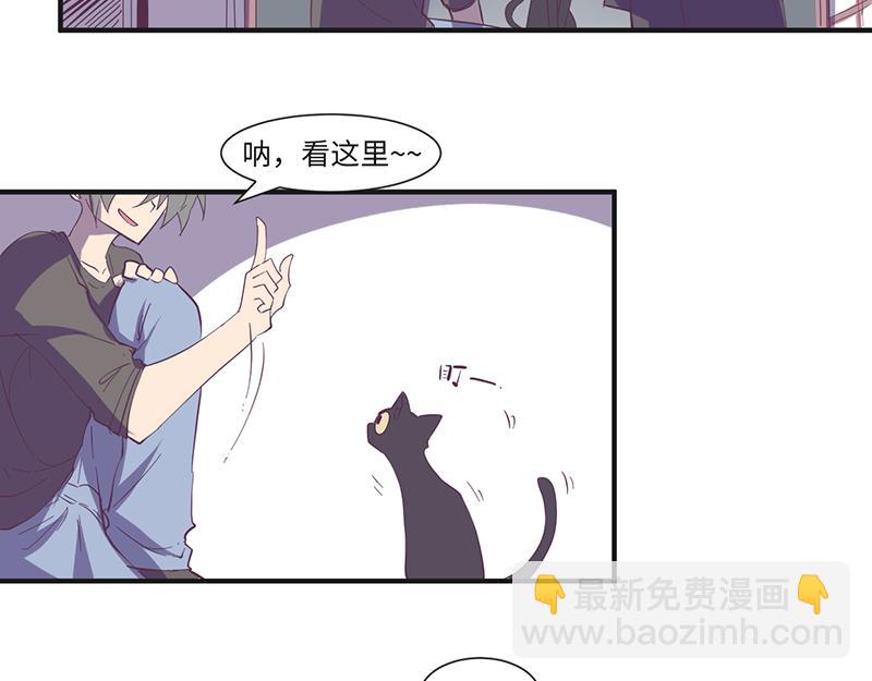 《余生三月为期》第18话 靠猫上位 第9页