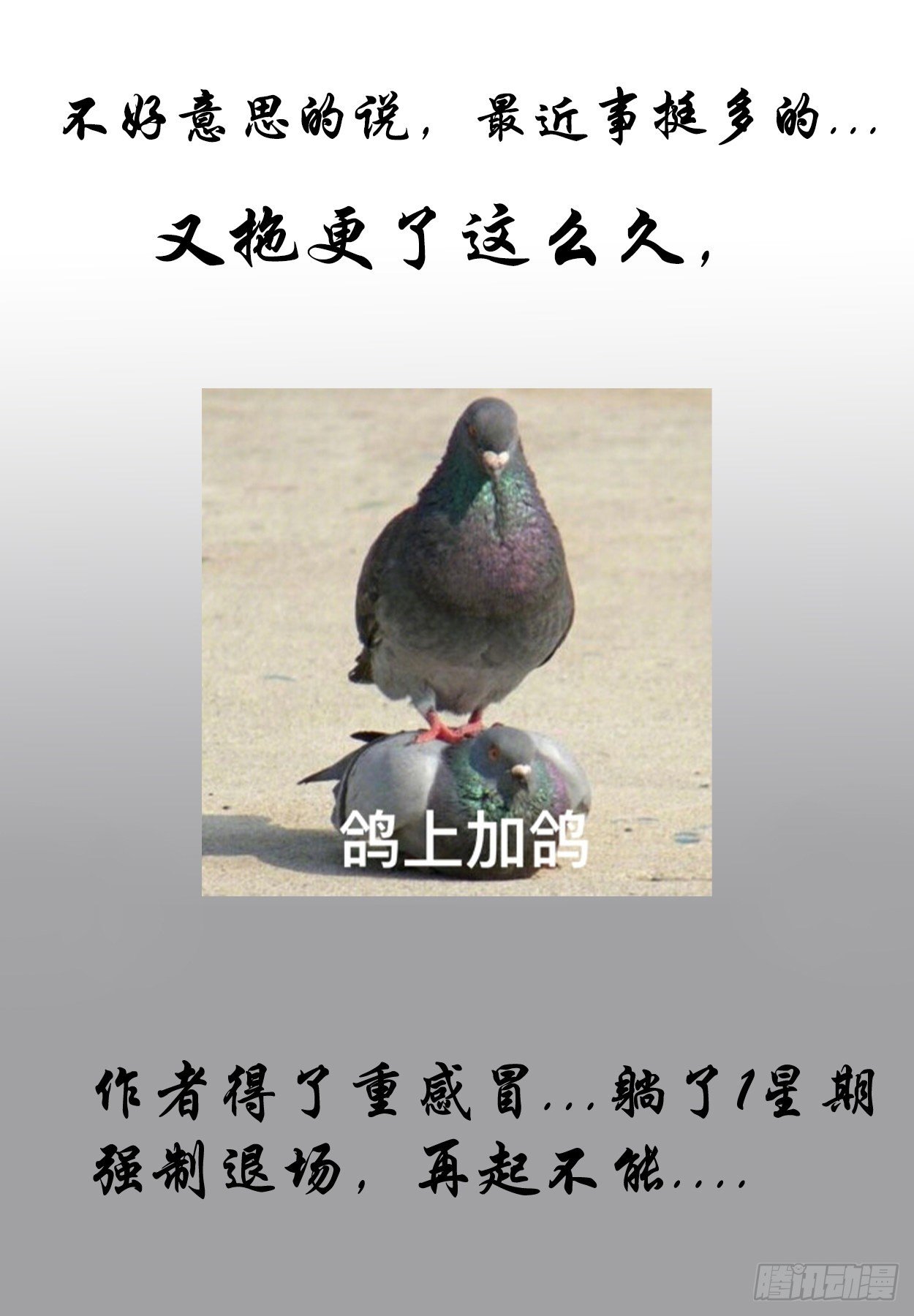《终末（尸灾异变）》试图暗杀 第26页