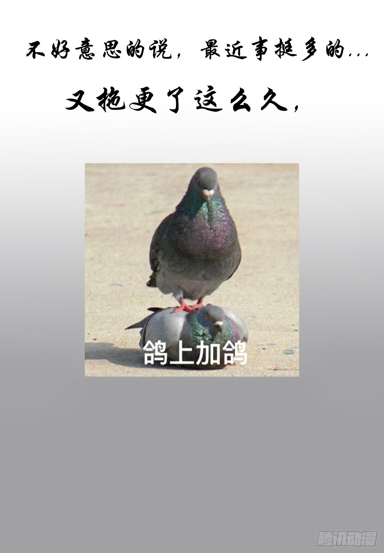 《终末（尸灾异变）》了解 第26页