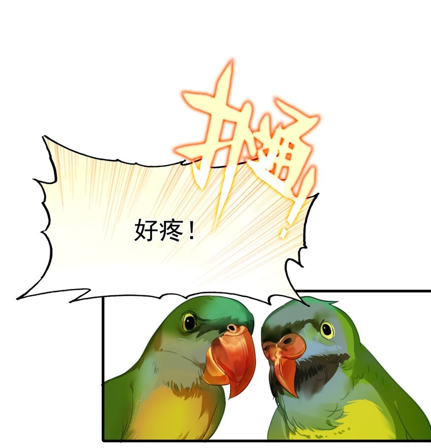 《捕星司之源起》07 墨家墨璇 第11页