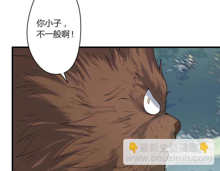 《我，炼药成圣》第18话 闯入灵山 第11页