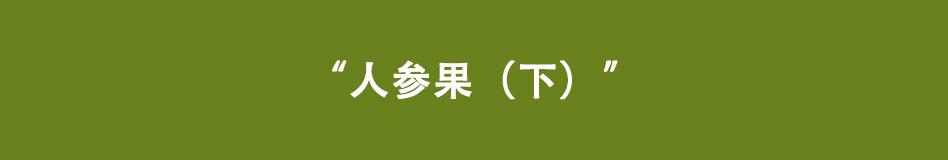 《八戒漫记》第9话 人参果（下） 第1页