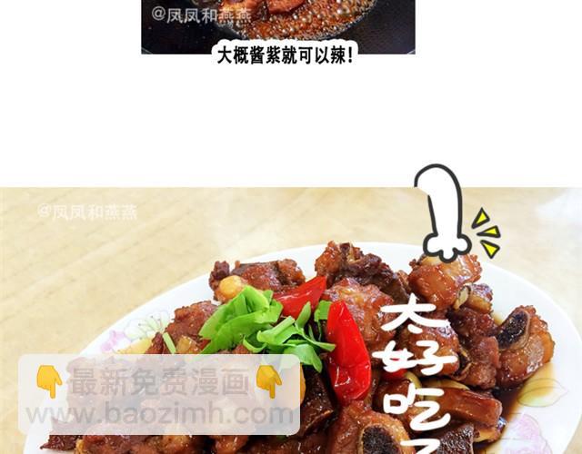 《燕燕烹饪宝典》第5期红烧排骨 第13页