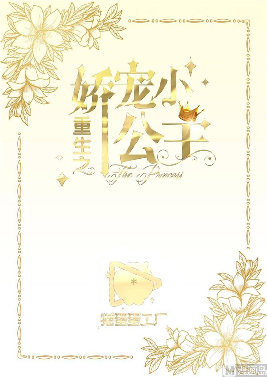 《重生之娇宠小公主》有我在 第2页