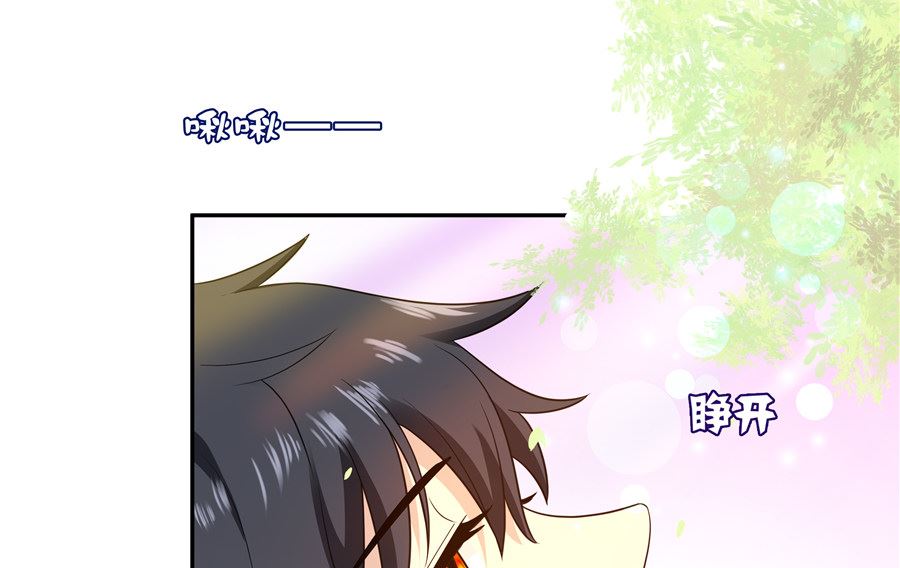 《重生之娇宠小公主》有我在 第4页