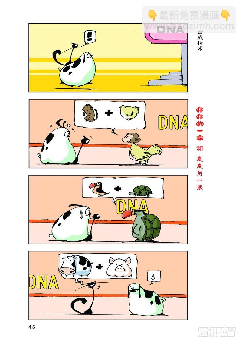 《胖胖一家和瘦瘦一家》21 第4页