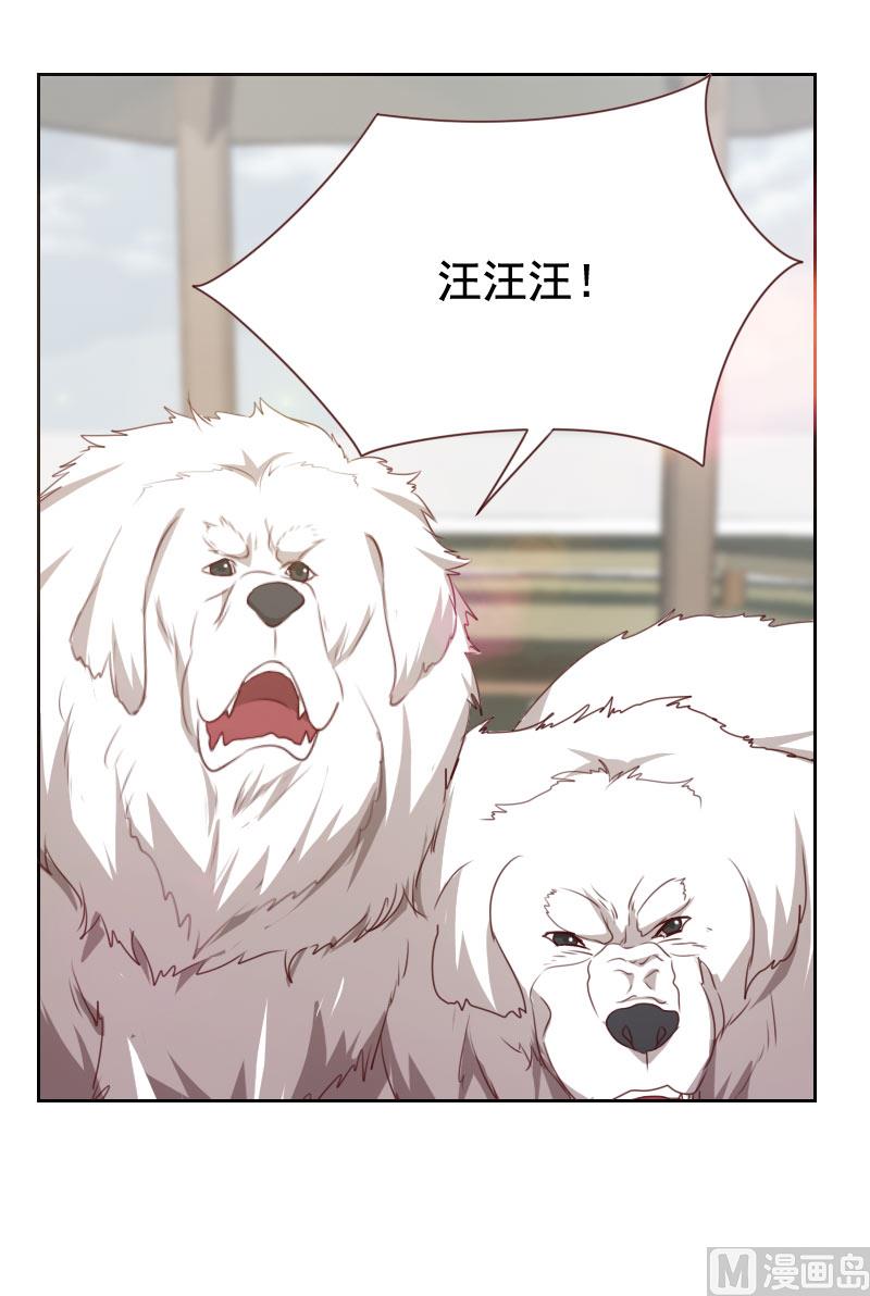 《贴身御医》第52话 第3页