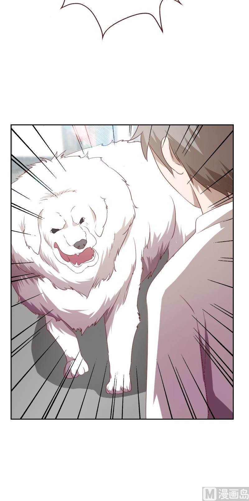 《贴身御医》第56话 第10页