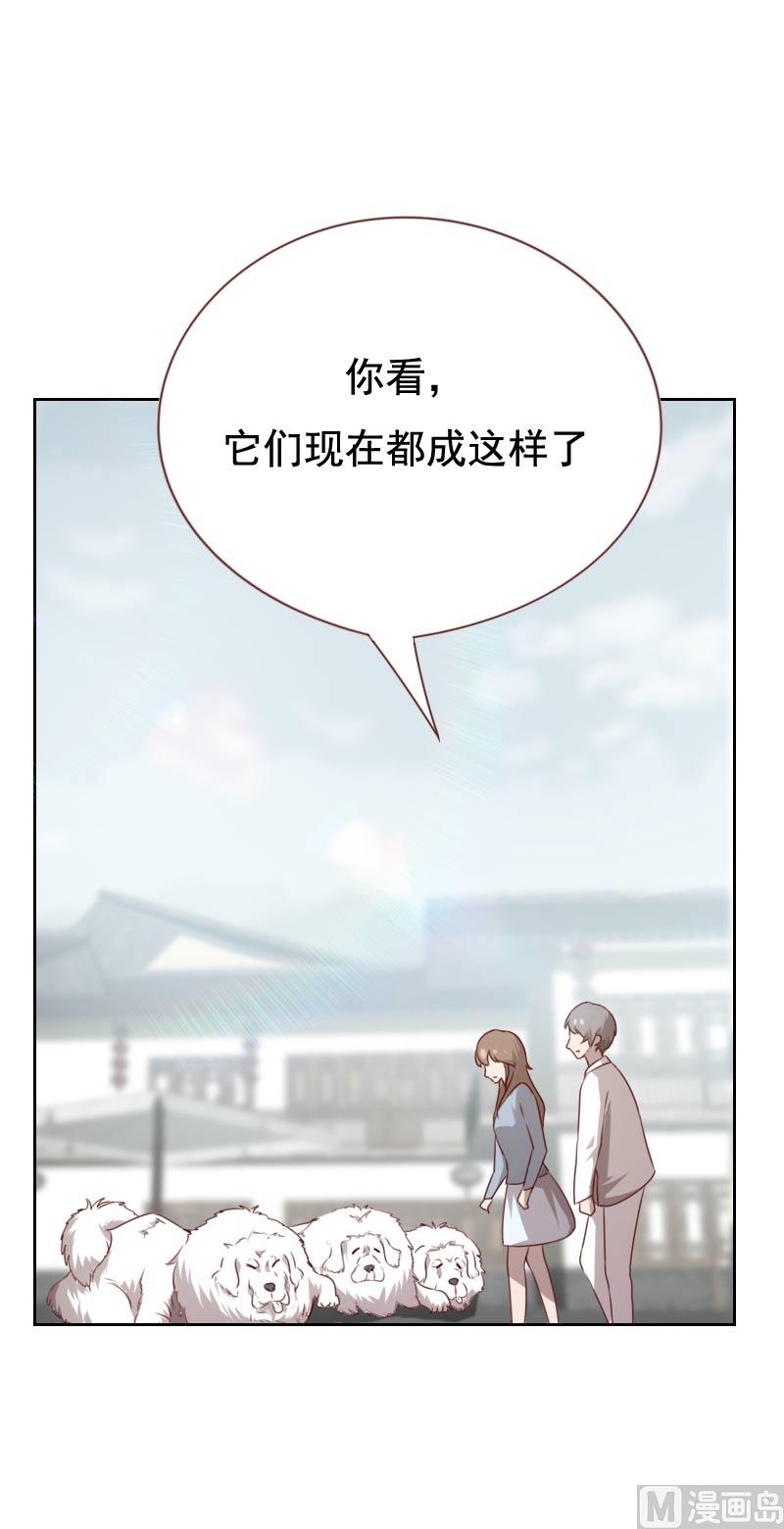《贴身御医》第56话 第3页