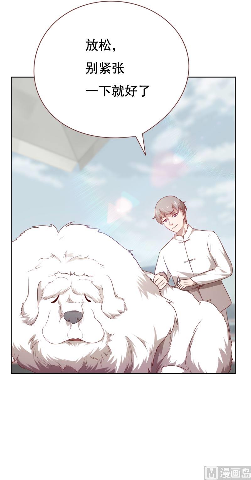 《贴身御医》第56话 第8页