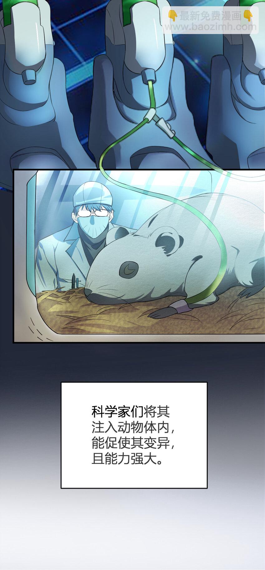 《灵宠创造模拟器》1 首个灵宠 第11页