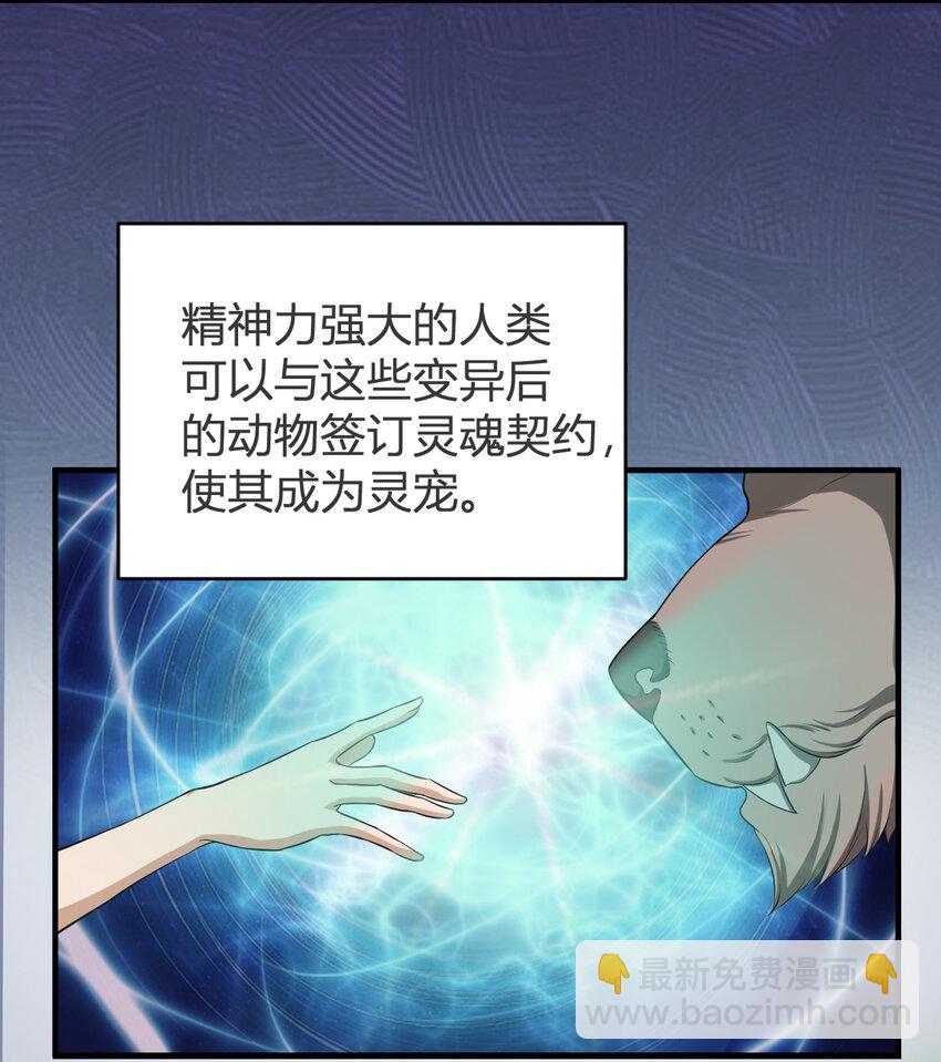 《灵宠创造模拟器》1 首个灵宠 第13页