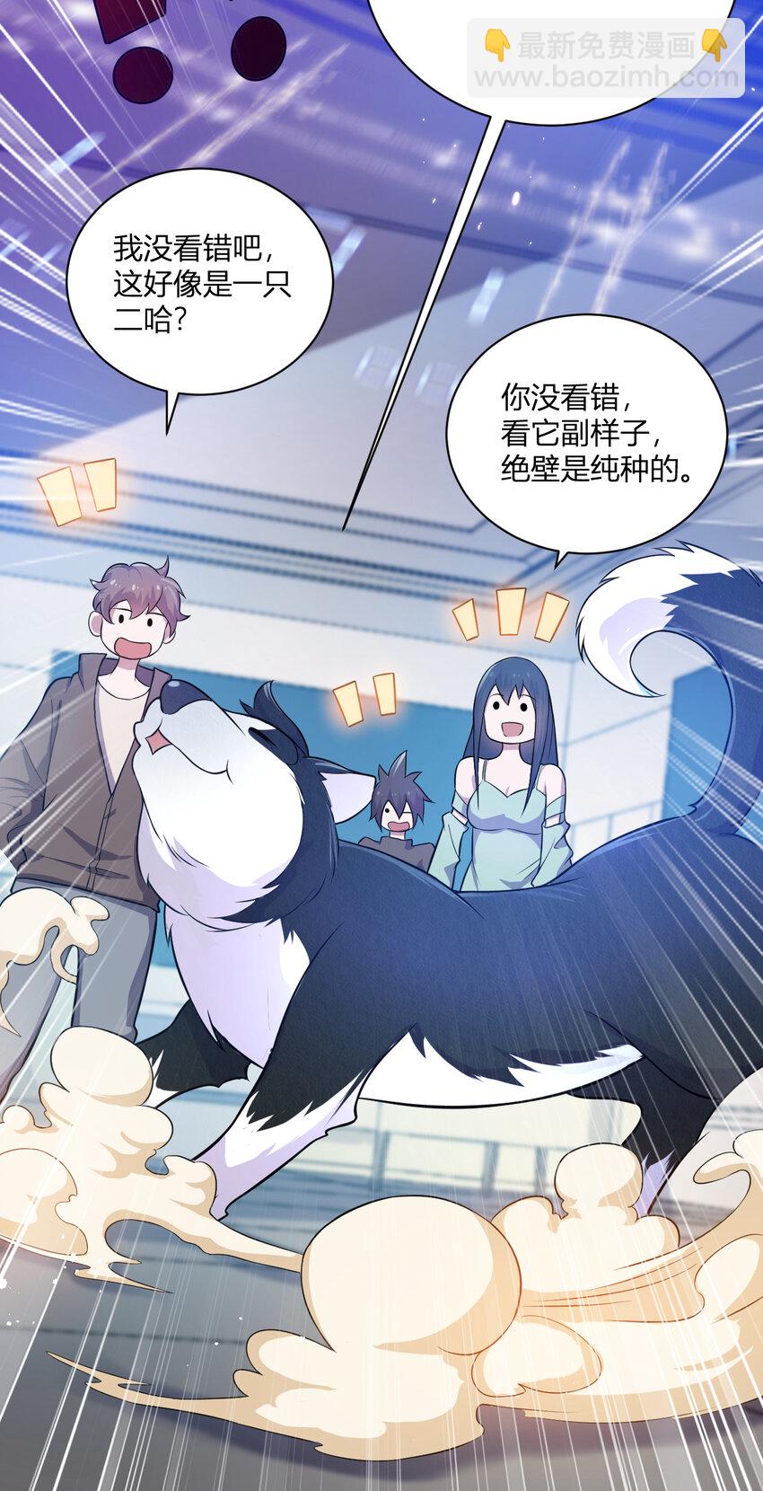 《灵宠创造模拟器》5 铁血佣兵团奎武 第33页