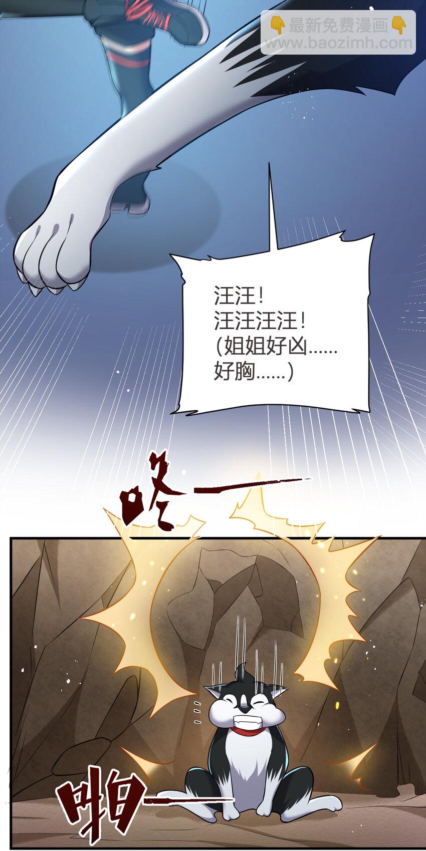 《灵宠创造模拟器》8 摆脱幻境 第33页