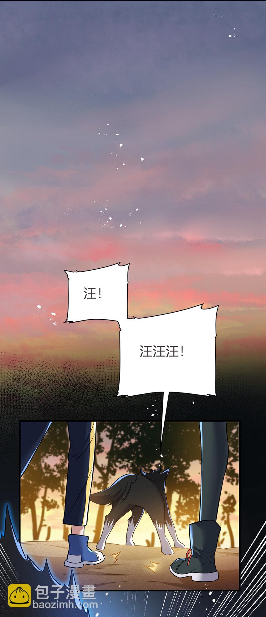 《灵宠创造模拟器》8 摆脱幻境 第39页