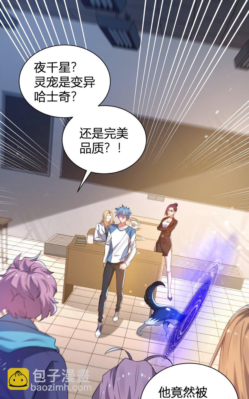 《灵宠创造模拟器》12 完美品质的二哈 第3页