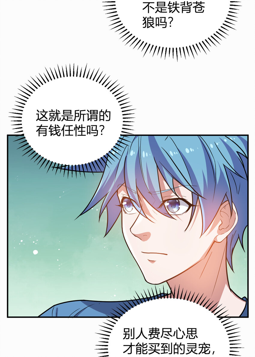 《灵宠创造模拟器》11 完美品质的二哈 第13页