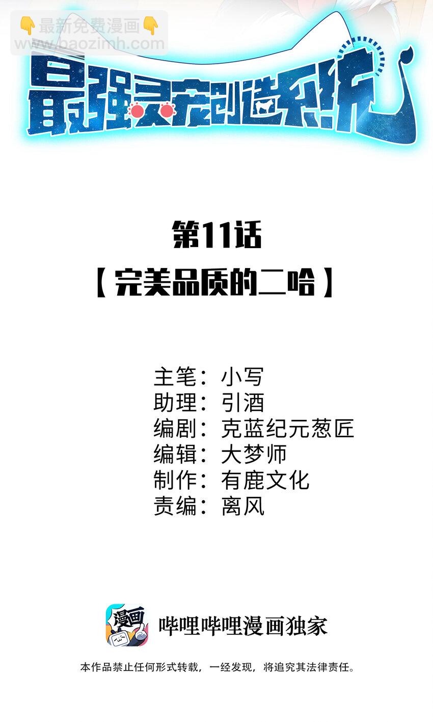 《灵宠创造模拟器》11 完美品质的二哈 第2页