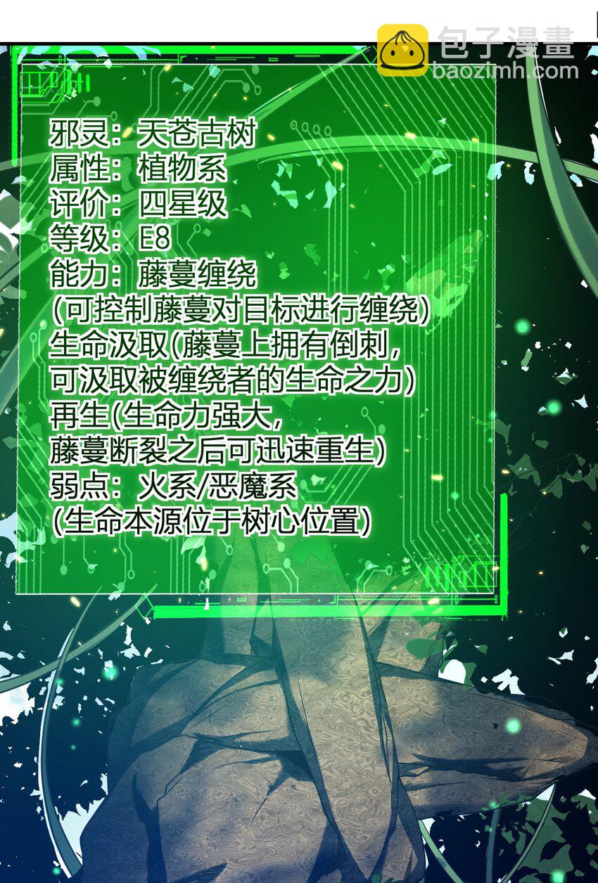 《灵宠创造模拟器》17 奇怪的叶清寒 第47页