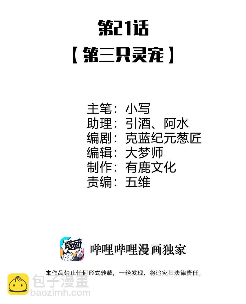 《灵宠创造模拟器》21 第三只灵宠 第2页