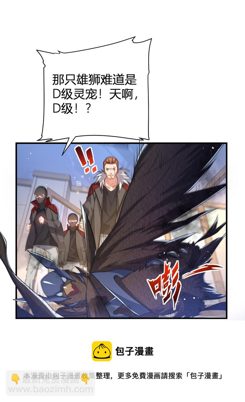 《灵宠创造模拟器》25 洗劫一空 第45页