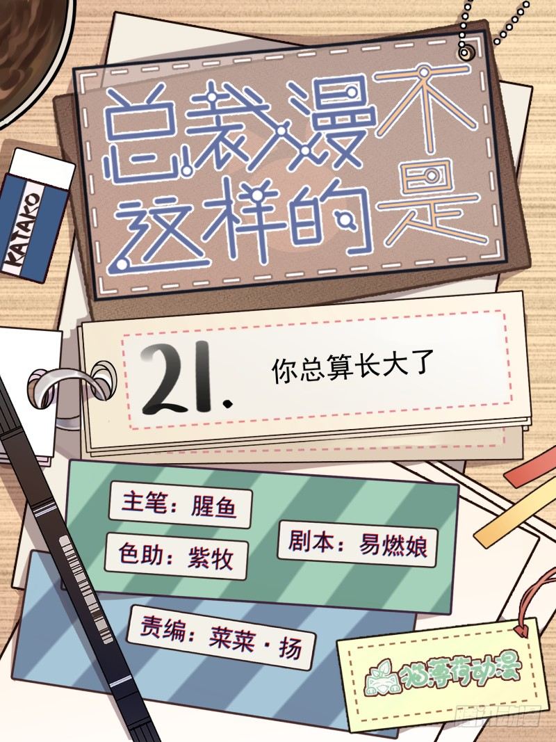 《总裁漫不是这样的》21章.你总算长大了 第1页