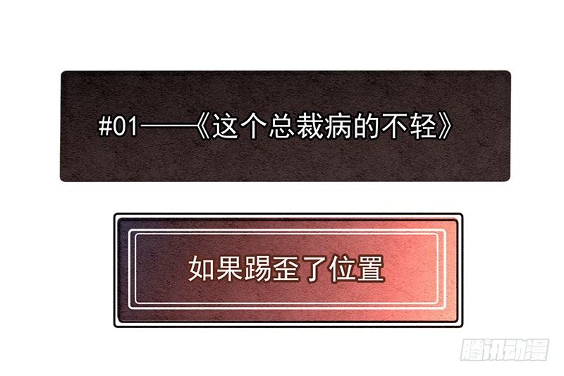 《总裁漫不是这样的》完结纪念番外篇 第2页