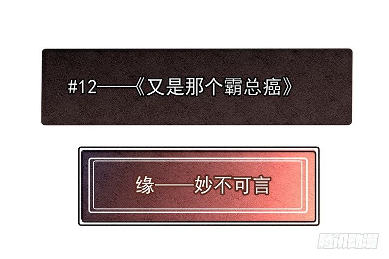 《总裁漫不是这样的》完结纪念番外篇 第47页