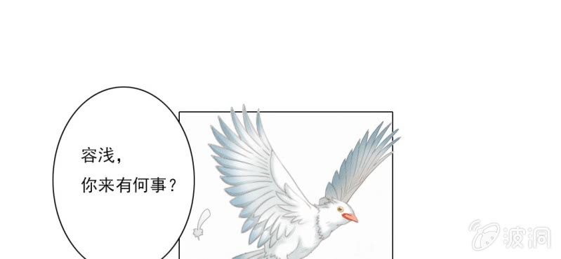 《转相思》第七回 娟娟细语不入心 第5页
