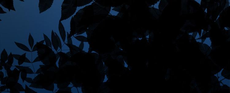 《东璧志异 壶中天》第四话 第36页