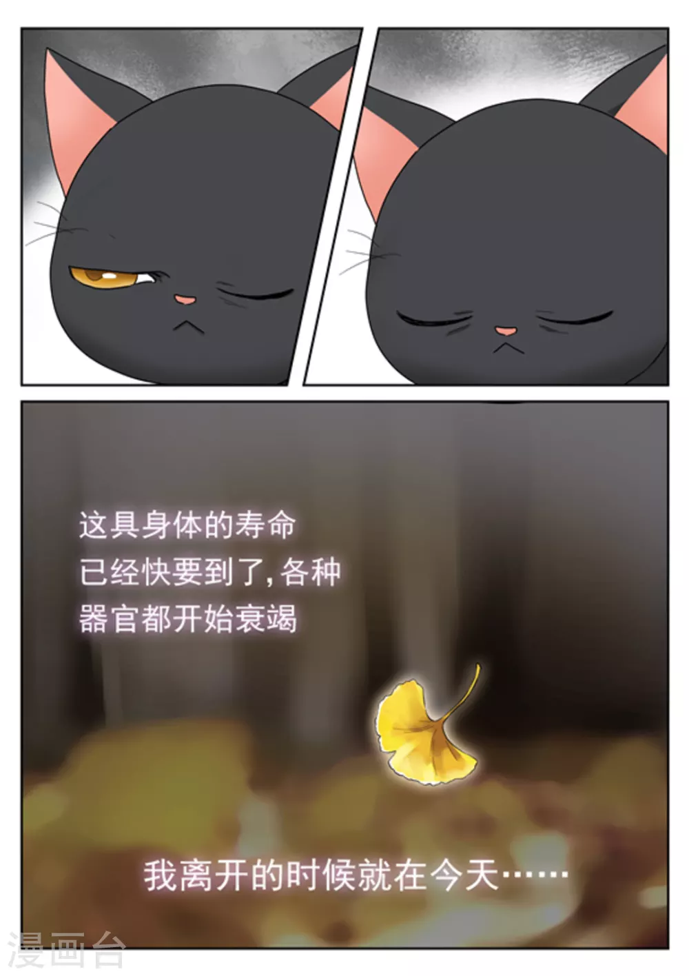 《快穿之拯救世界攻略》第28话 第13页