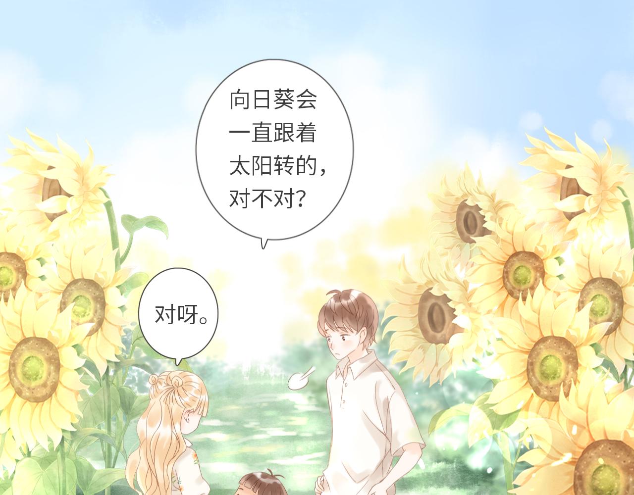《闪亮的日子》完结 旭日东升 温暖如初 第11页