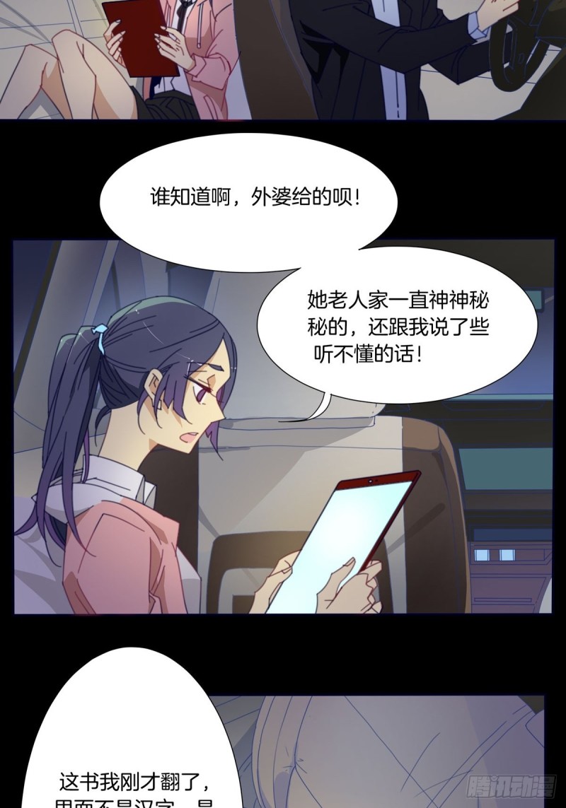 《家养美人》第二话 第9页