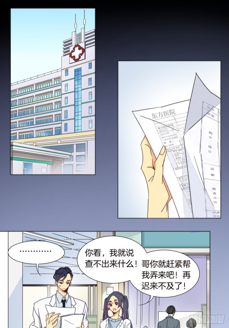 《家养美人》第五话 第8页