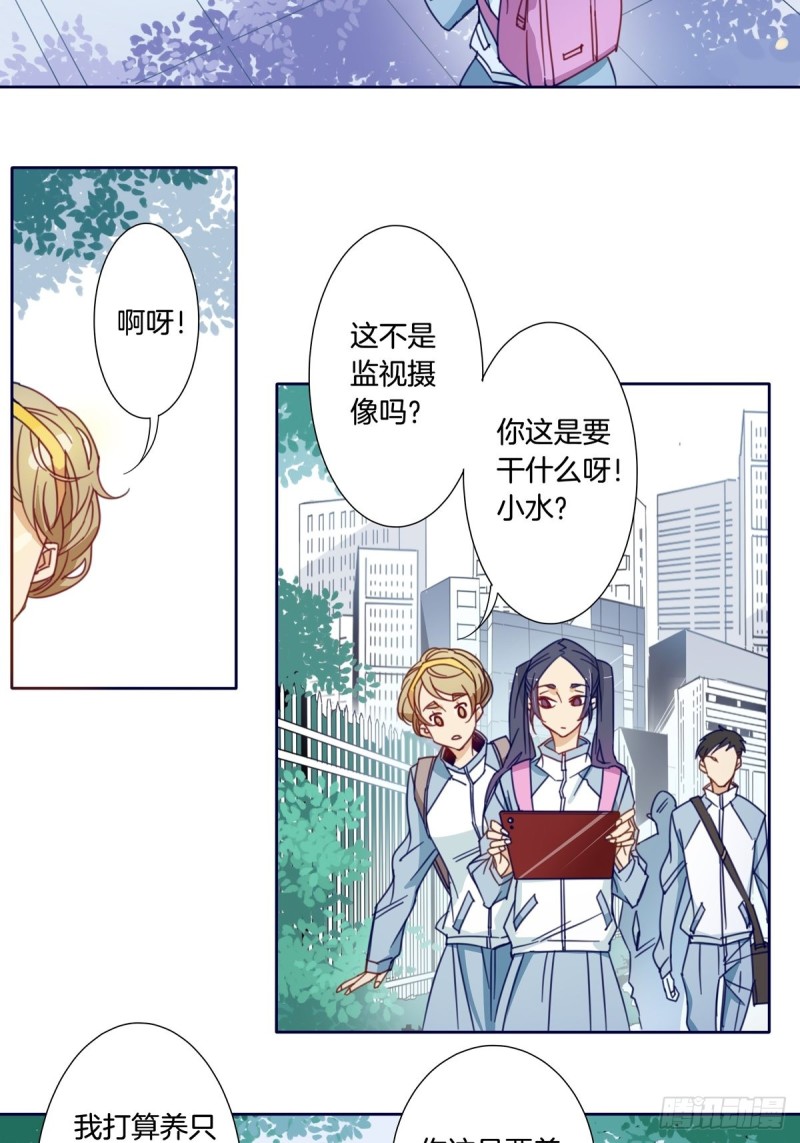 《家养美人》第七话 第12页