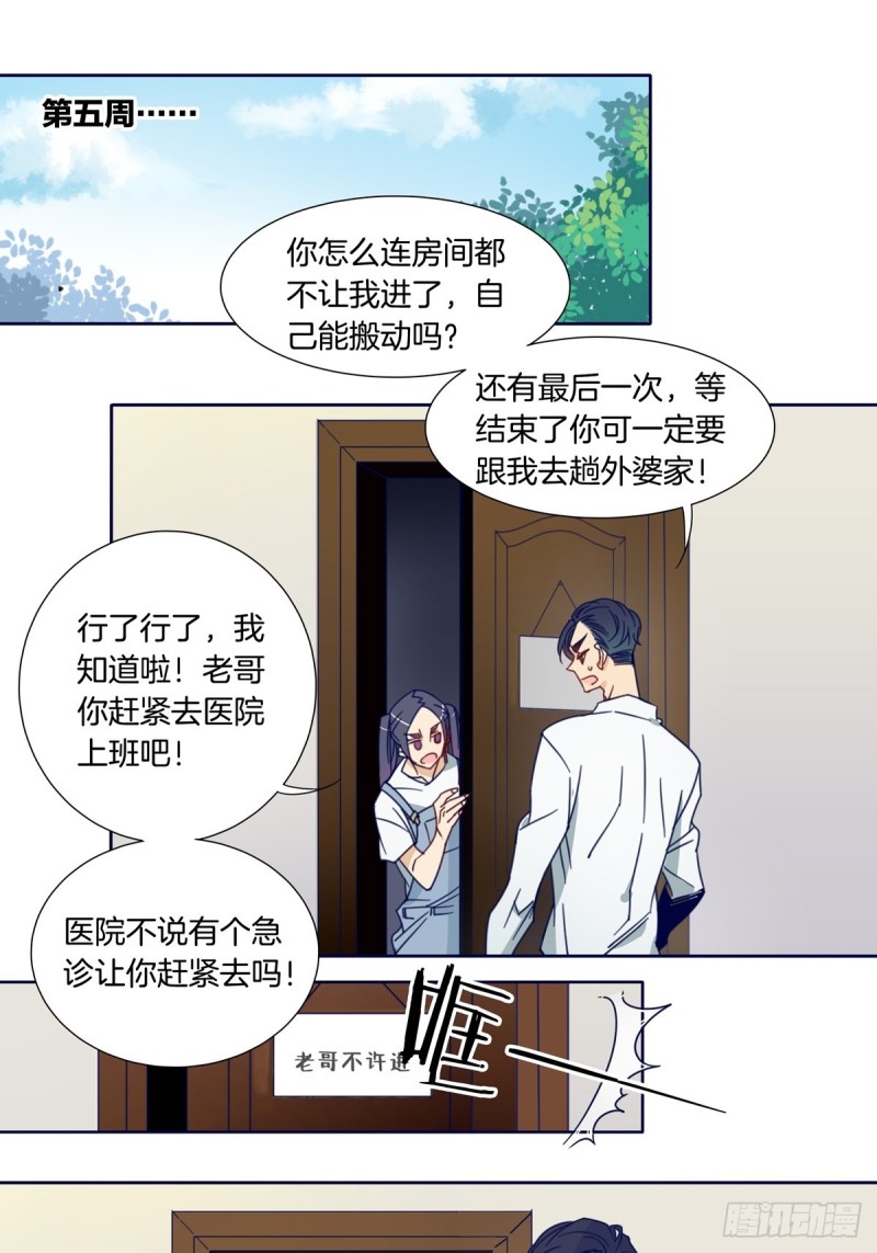 《家养美人》第七话 第2页