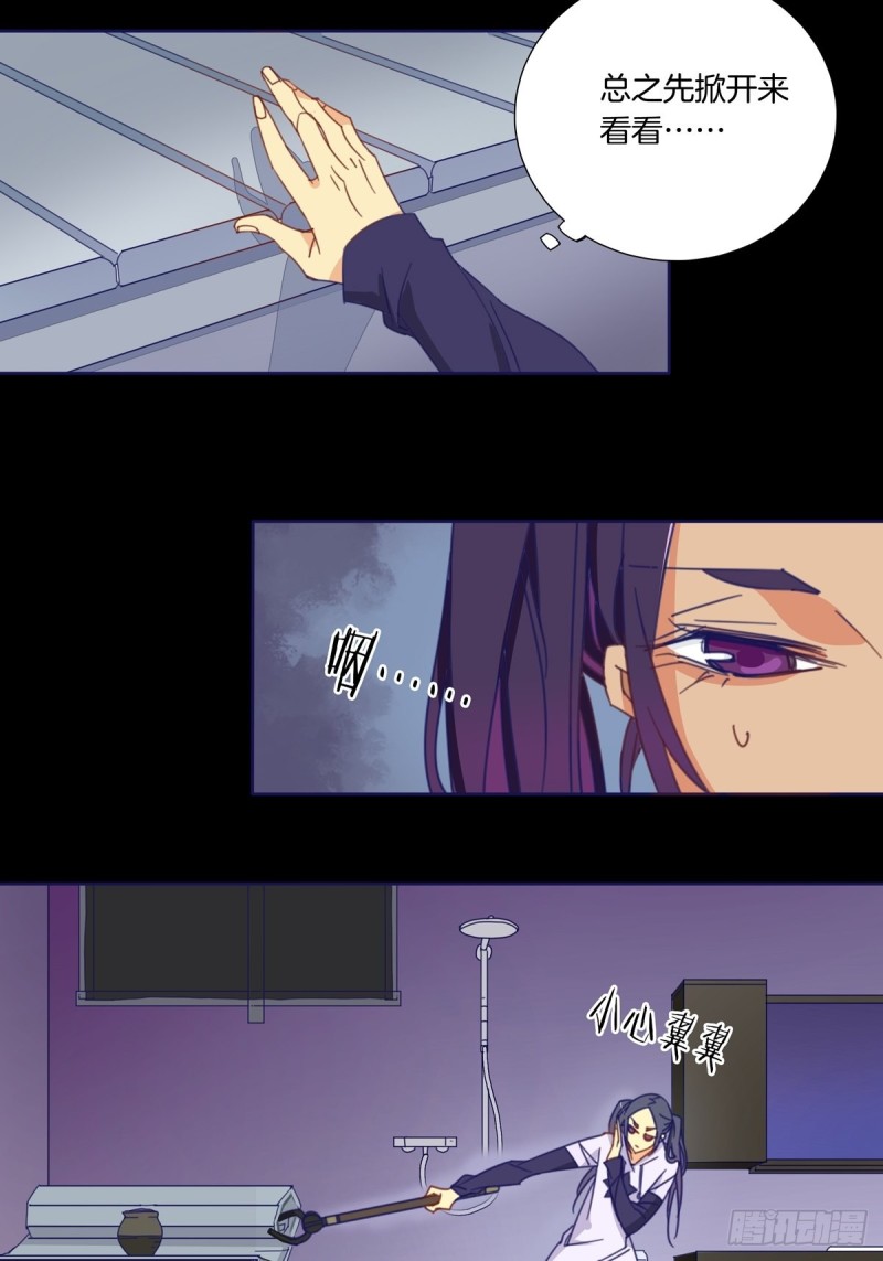 《家养美人》第六话 第12页
