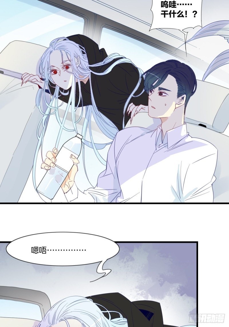 《家养美人》第十五话 第10页