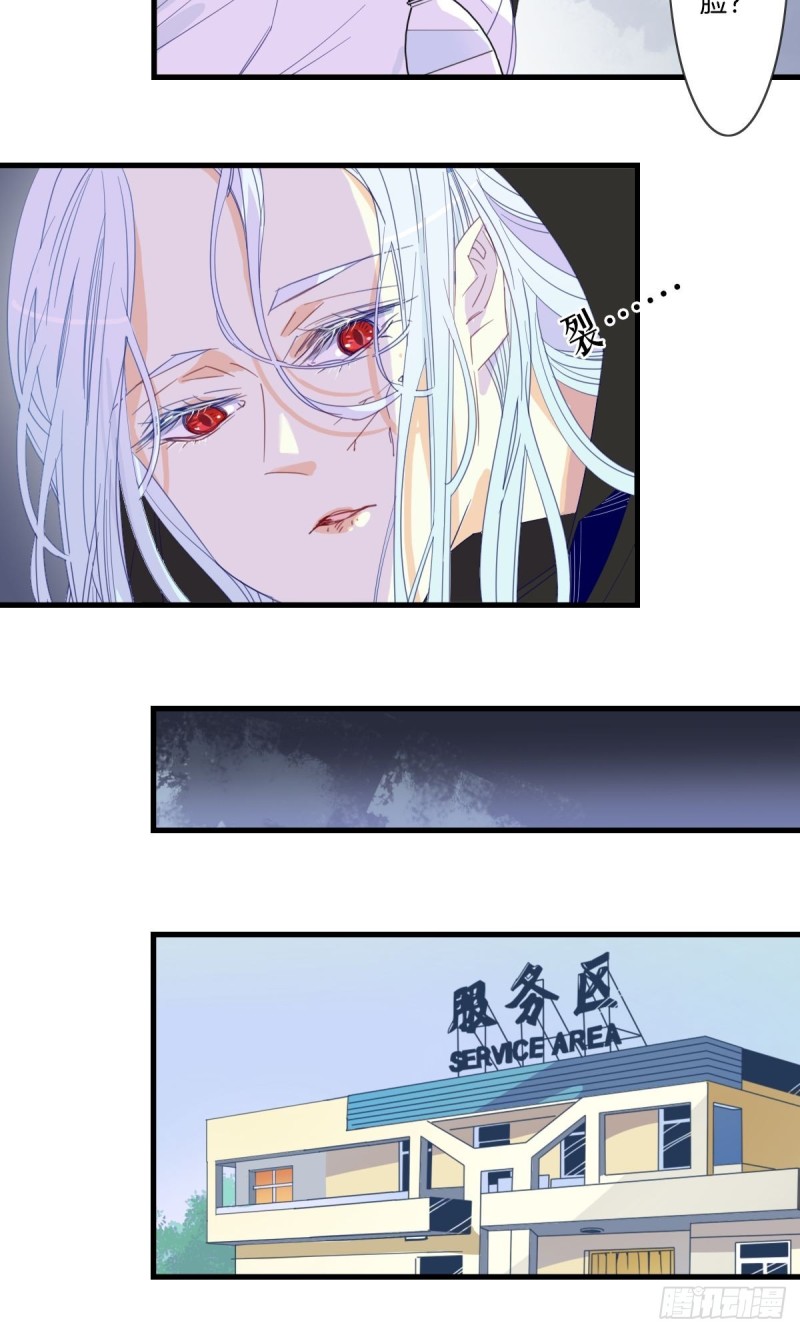 《家养美人》第十五话 第12页