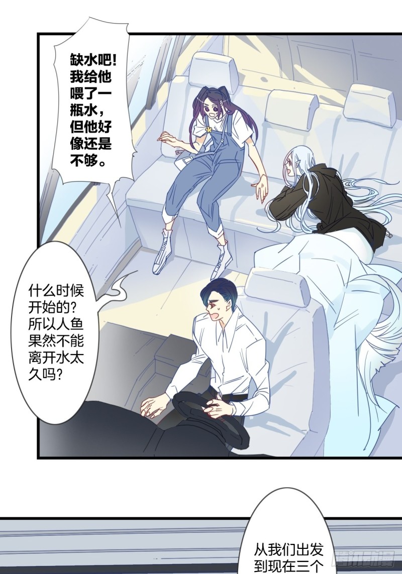 《家养美人》第十五话 第14页