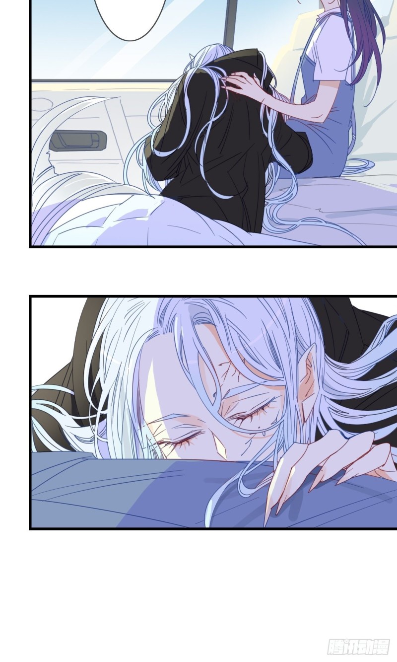 《家养美人》第十五话 第16页