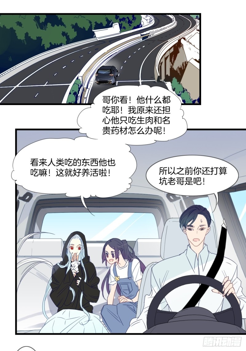 《家养美人》第十五话 第1页
