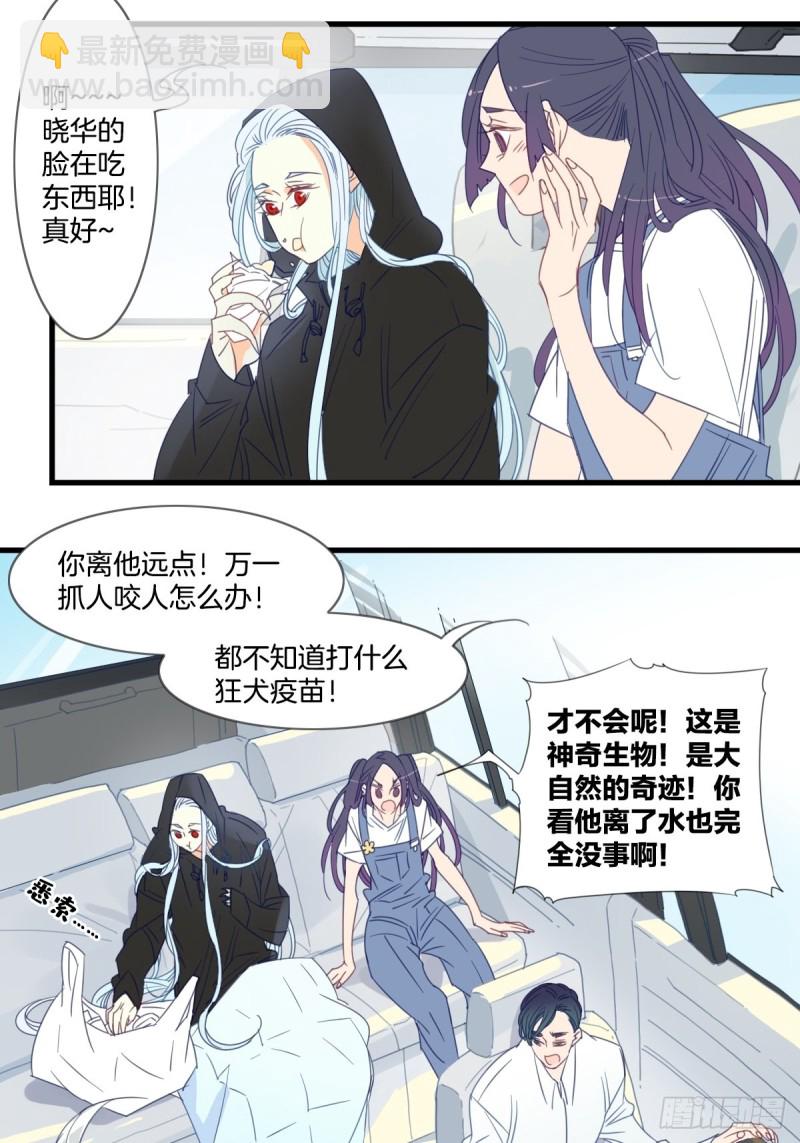 《家养美人》第十五话 第2页