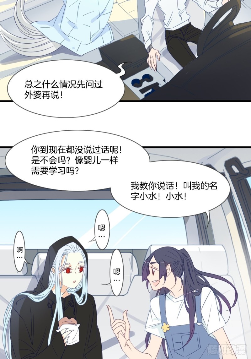 《家养美人》第十五话 第3页