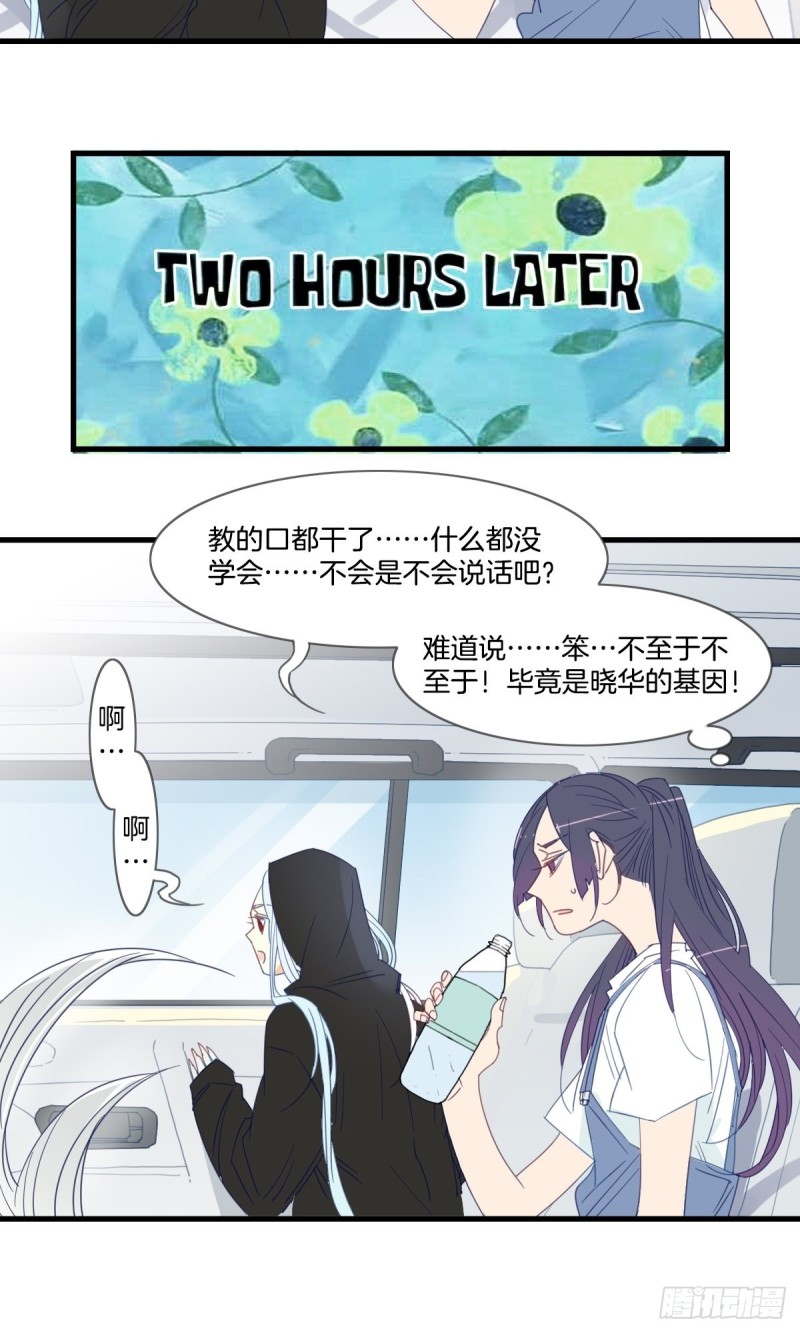 《家养美人》第十五话 第4页