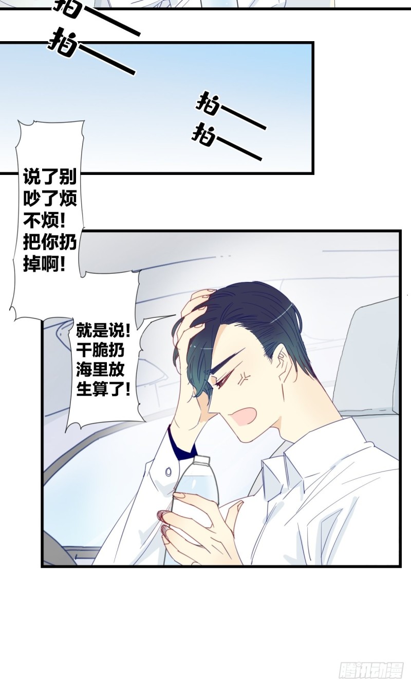 《家养美人》第十五话 第8页