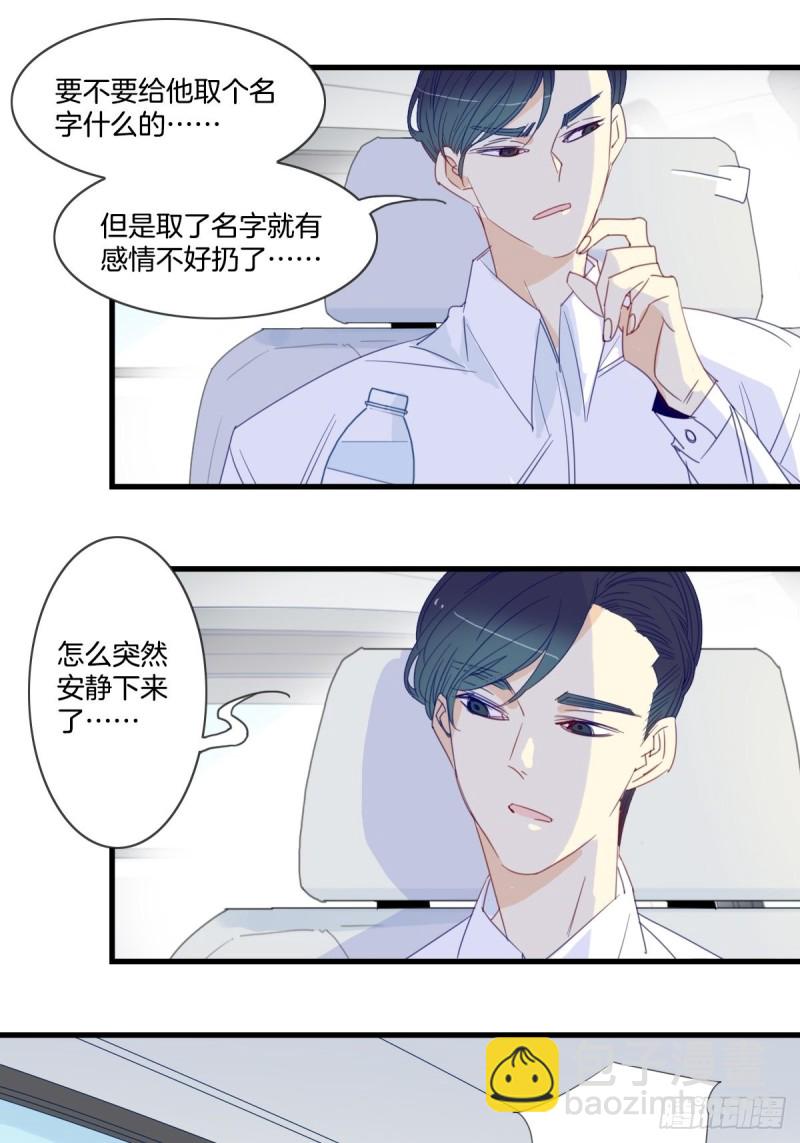 《家养美人》第十五话 第9页