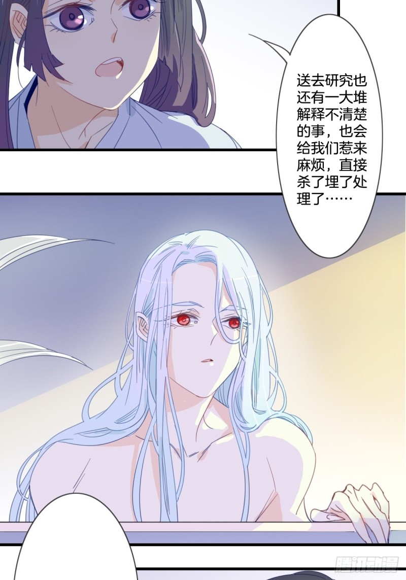 《家养美人》第十四话 第11页