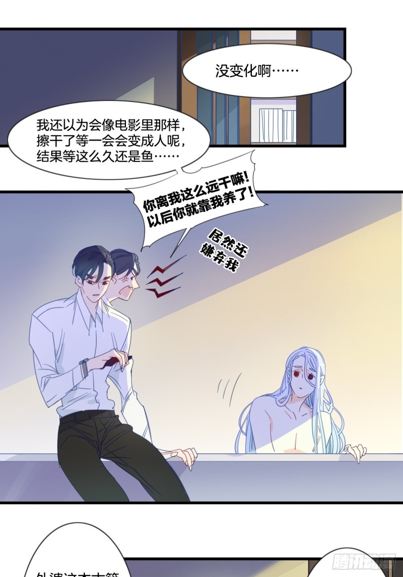 《家养美人》第十四话 第13页