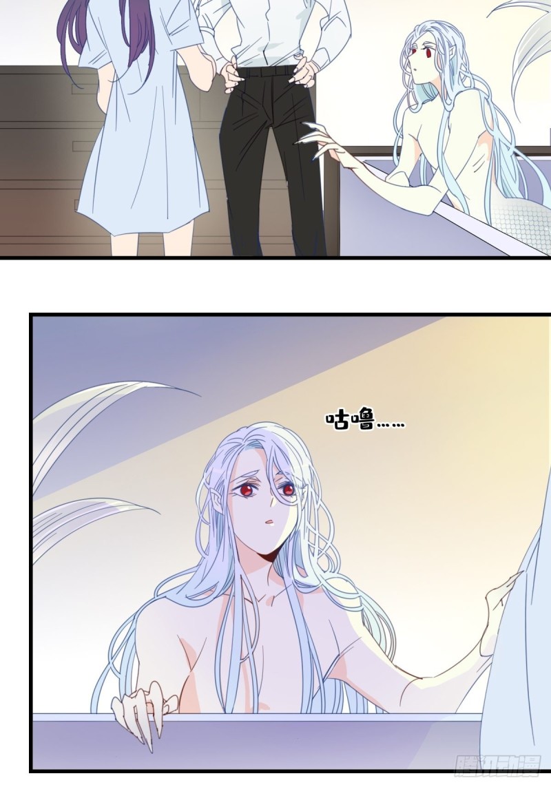 《家养美人》第十四话 第15页